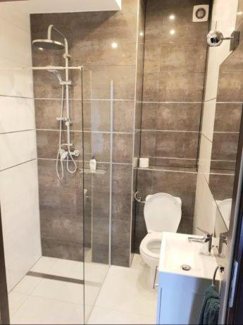 Apartamenty Mila Zabrze Oda fotoğraf
